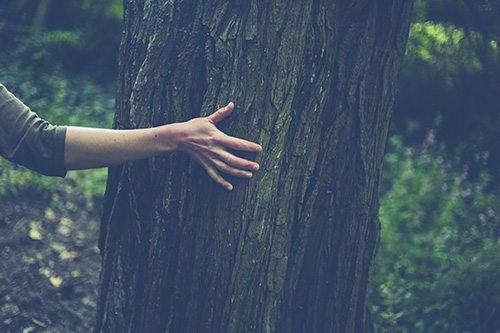 Lady thanking a tree during a wellness class in the Pacific Northwest.